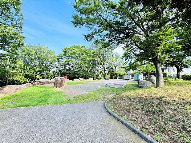 美しが丘西滝の沢公園(約270m)