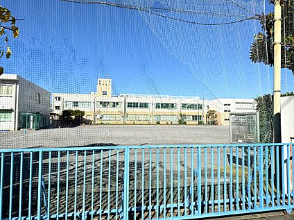 片平小学校 1000m(徒歩13分)