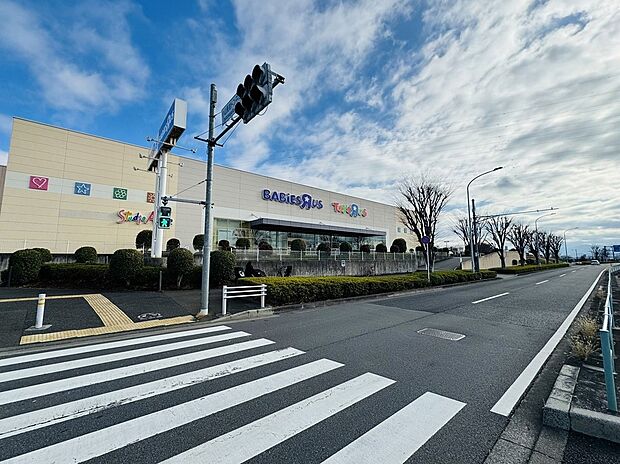 トイザらスベビーザらス町田多摩境店（約1,000m）