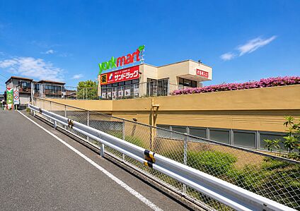 ヨークマート藤原店 1090m(徒歩14分～徒歩17分)