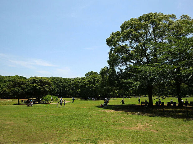 行田公園（約80m）