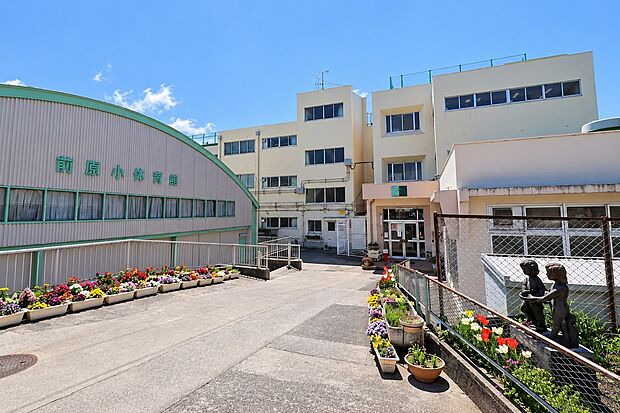 前原小学校（約600m）