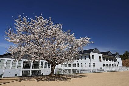 南丹市立園部第二小学校 徒歩850m