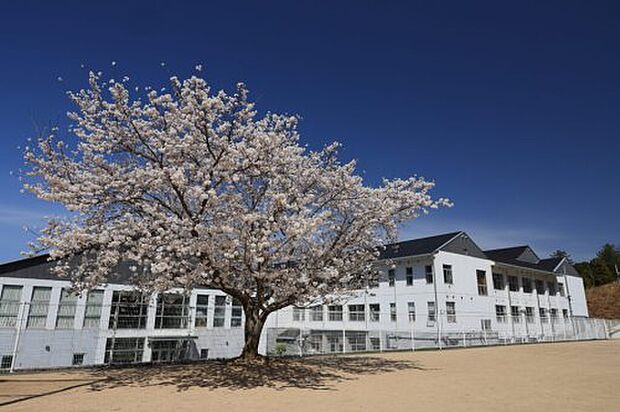 南丹市立園部第二小学校