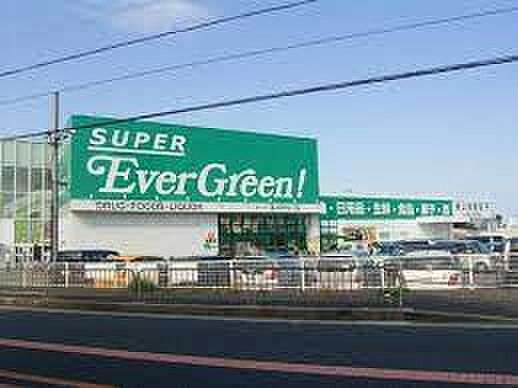 スーパーエバグリーン 阪南店