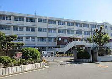 羽曳野市立高鷲中学校 徒歩900m