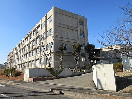堺市立晴美台中学校 徒歩650m