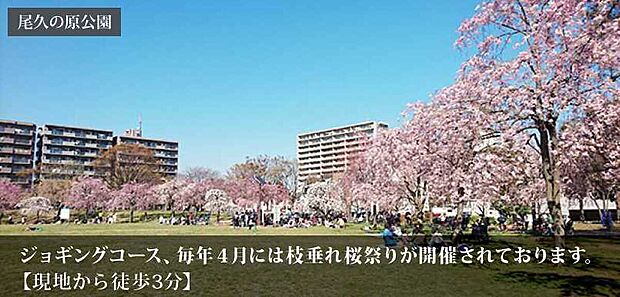 尾久の原公園（約250m）