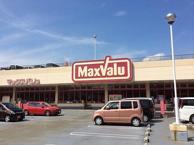 MaxValu(マックスバリュ) 星陵台店