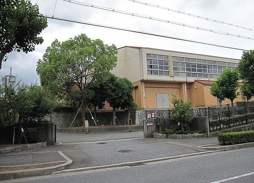 【学校】神戸市立美賀多台小学校