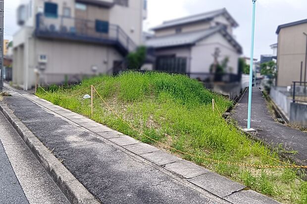 ■Photo/現地写真■