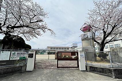 大磯小学校 約170～200ｍ(約3分)