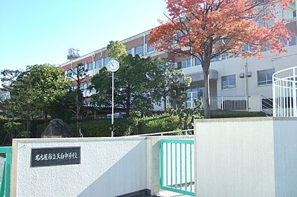 天白中学校 約850～860ｍ(徒歩11分)