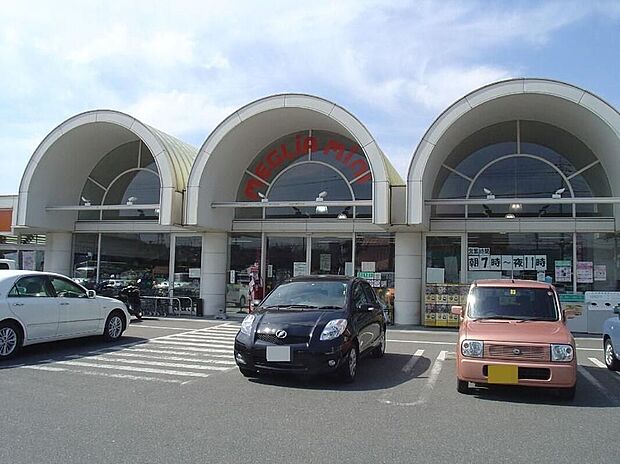 メグリアミニ 加茂川店