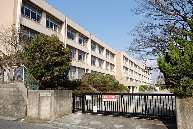 旭小学校（約900m）