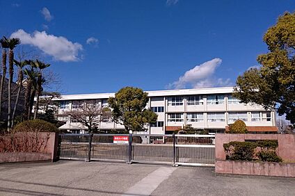 渋川小学校 1000ｍ(徒歩13分)