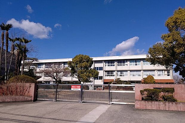 渋川小学校(約1,000m)