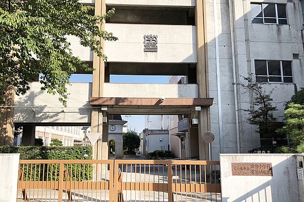 常磐小学校（約1,000m）