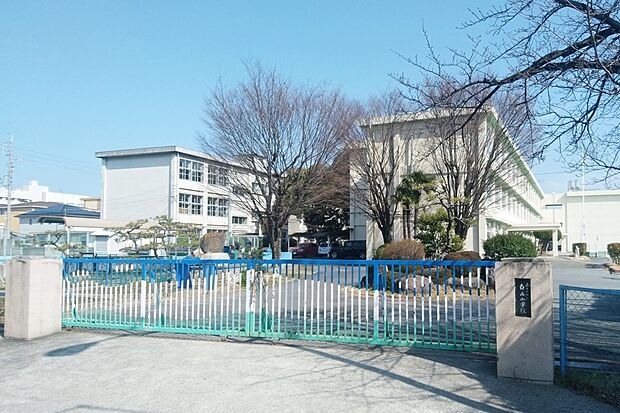 白山小学校(約550m)