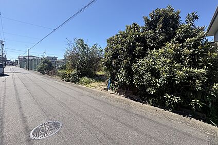 現地土地