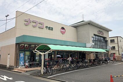 ナフコトミダ（千成店） 600ｍ(徒歩8分)