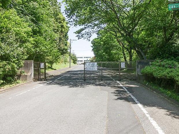 佐倉市立佐倉東小学校（約1,100m）