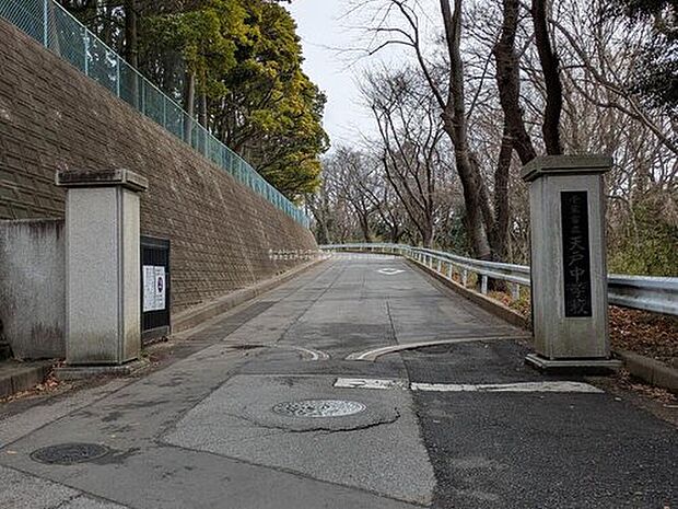 千葉市立天戸中学校(約1,400m)
