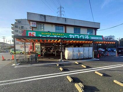 スーパーチェーンカワグチこてはし南店 950ｍ(徒歩12分)
