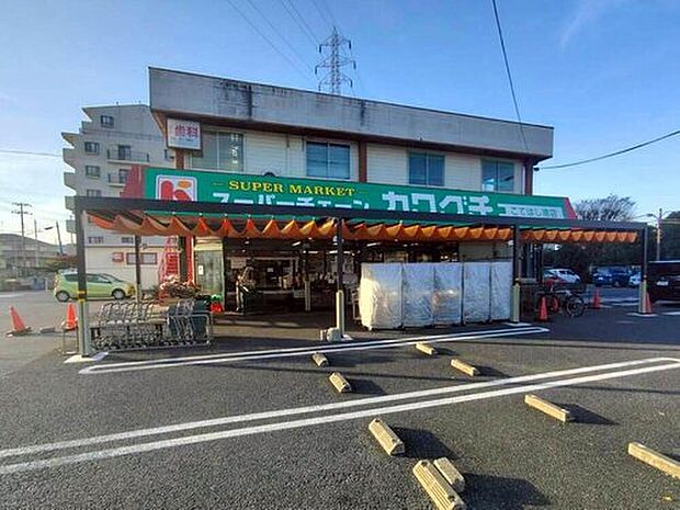 スーパーチェーンカワグチこてはし南店(約950m)