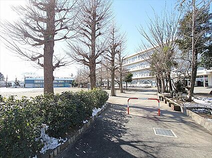 新座市立野火止小学校 約600-700m(徒歩8-9 分)