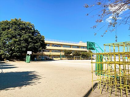 新座市立新開小学校 650m(徒歩9分)
