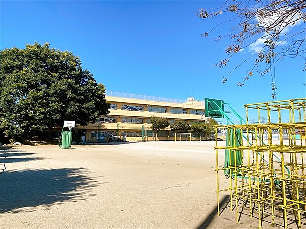 新座市立新開小学校（約650m）