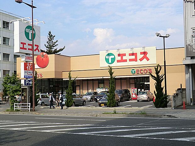 エコス八王子大横店（約857m・徒歩11分）