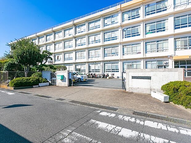 平塚市立神明中学校（約960m・徒歩12分）