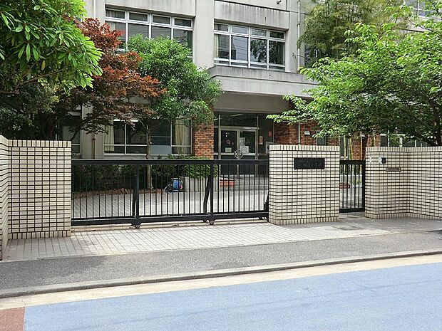 川崎市立田島小学校(約300m・徒歩4分)