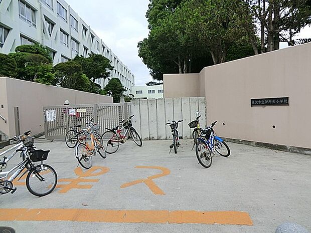 藤沢市立御所見小学校(約2,600m・徒歩33分)