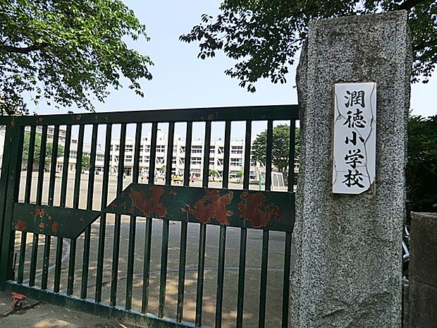 日野市立潤徳小学校（約789m・徒歩10分）
