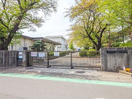 相模原市立双葉小学校 1040m(13分)