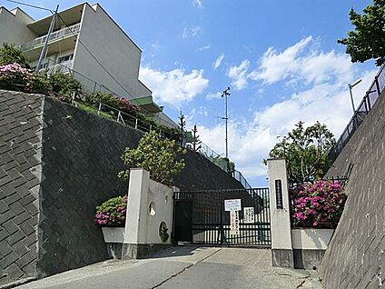 八王子市立小宮小学校 約880m(10分～11分)