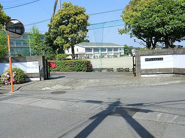 平塚市立金旭中学校（約1,600m・徒歩20分）