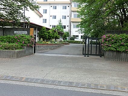 八王子市立陵南中学校 400m(5分)