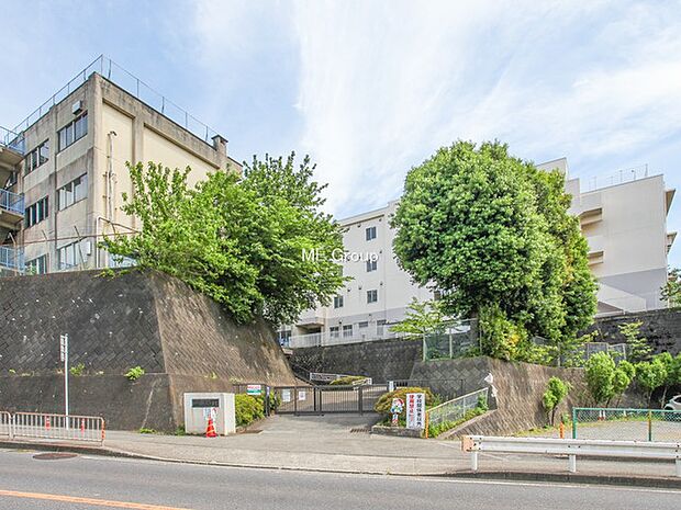 海老名市立海老名小学校（約800m・徒歩10分）