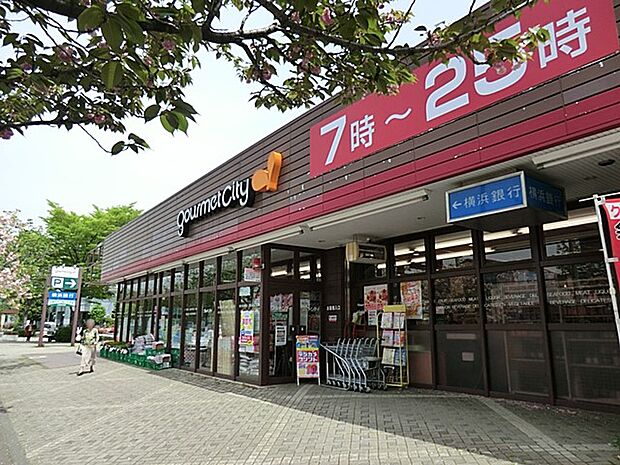 グルメシティ 鶴川緑山店(約400m・徒歩5分)
