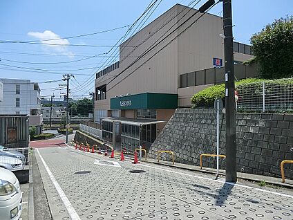 食品館あおば 荏田北店 1300m(17分)