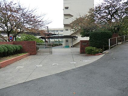 横浜市立西柴中学校 496m(7分)