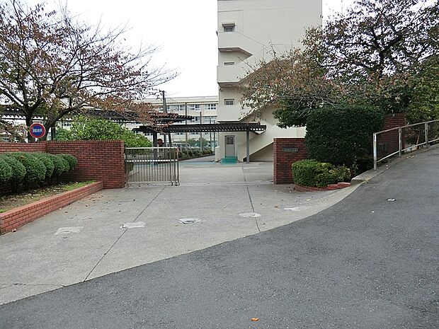 横浜市立西柴中学校(約496m・徒歩7分)