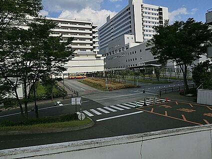 東海大学医学部付属病院 1300m(17分)