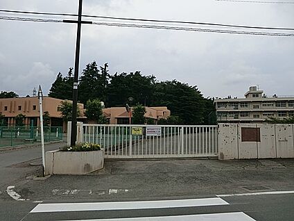 相模原市立大野台小学校 400m(5分)