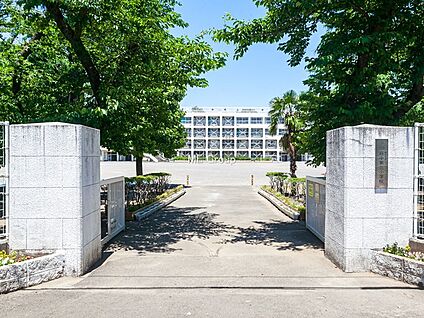 府中市立府中第三小学校 700m(9分)