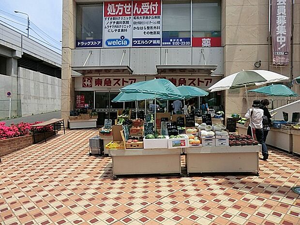 東急ストア藤が丘店(約450m・徒歩6分)